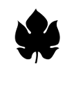 الكرمة