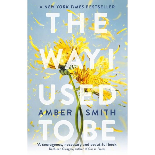 <div class="anwr-bk-title">The Way I Used to Be</div><div class="anwr-bk-auth"> Author: Amber Smith</div>