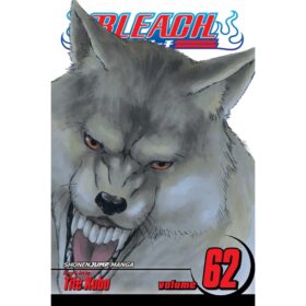<div class="anwr-bk-title">Bleach, Vol. 62</div><div class="anwr-bk-auth"> Author: Tite Kubo</div>