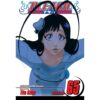 <div class="anwr-bk-title">Bleach, Vol. 65</div><div class="anwr-bk-auth"> Author: Tite Kubo</div>