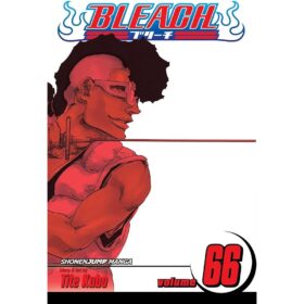 <div class="anwr-bk-title">Bleach, Vol. 66</div><div class="anwr-bk-auth"> Author: Tite Kubo</div>