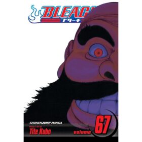 <div class="anwr-bk-title">Bleach, Vol. 67</div><div class="anwr-bk-auth"> Author: Tite Kubo</div>